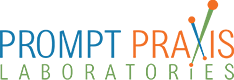 Prompt Praxis Laboratories